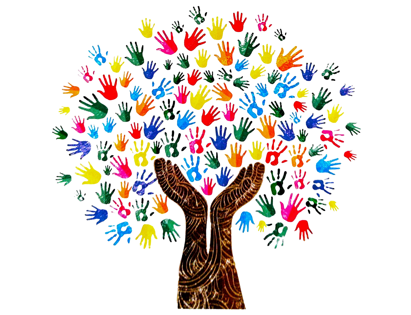 Libro Diseño y Monitoreo de Políticas Públicas